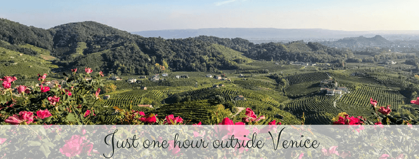 Italian Sparkle Prosecco Region Views flowers