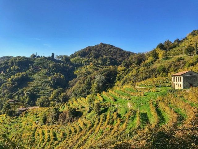 Italian Sparkle Views of Prosecco Region