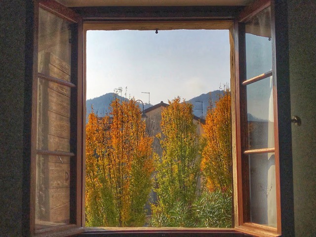 Aurmn trees seen from tasting room at Gregoletto winery