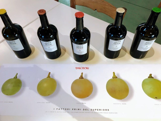 five ancient Marchiori prosecco grape varietal bottles