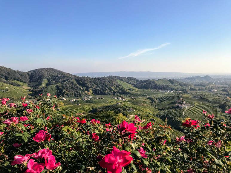 Rolling views of Italy's prosecco region and vineyards