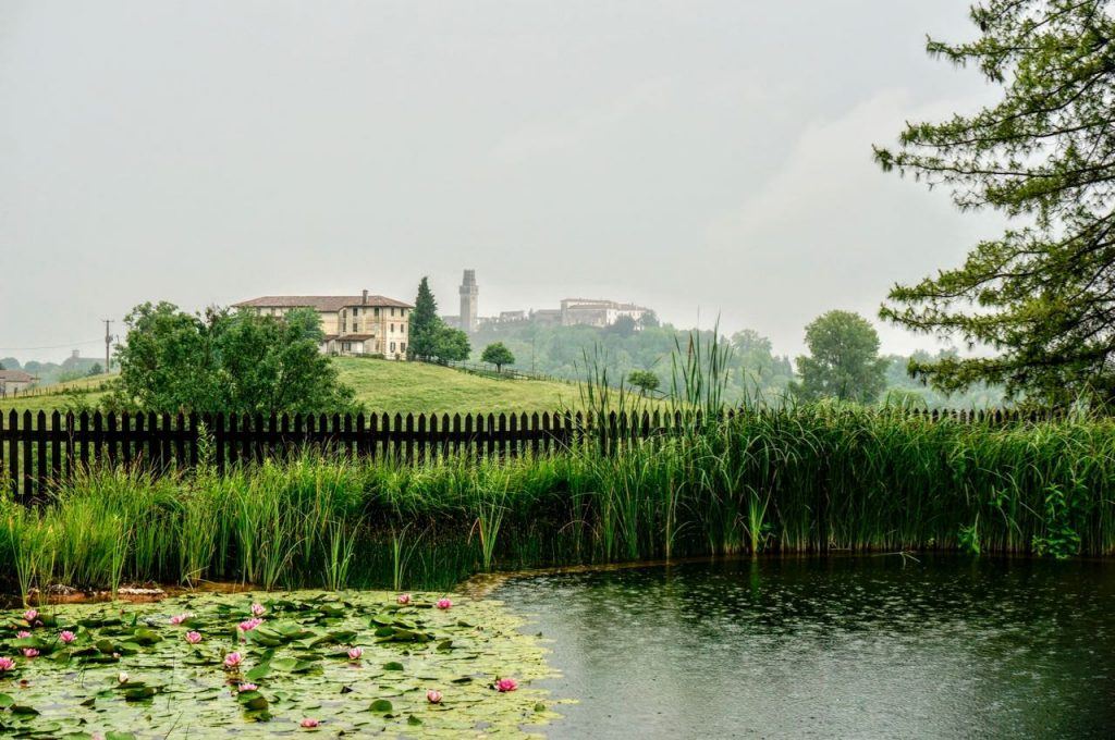 Wild swimming pool at Foresteria Borgoluce