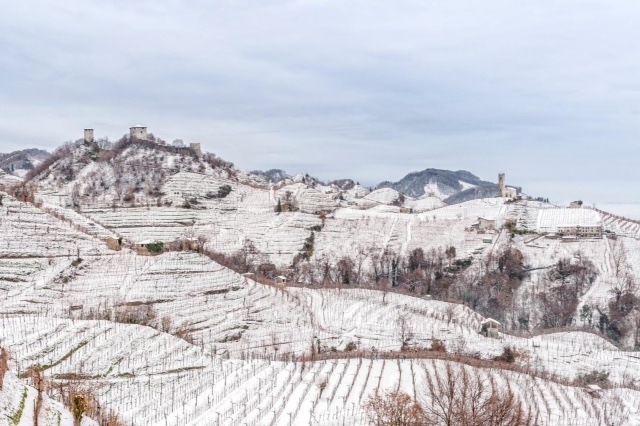 Prosecco region in winter