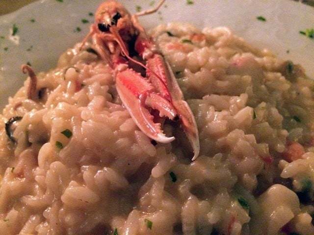 Risotto with shrimp on top