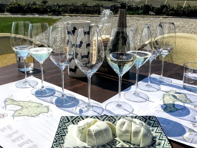 Prosecco tasting glasses, bottle and mozarella.