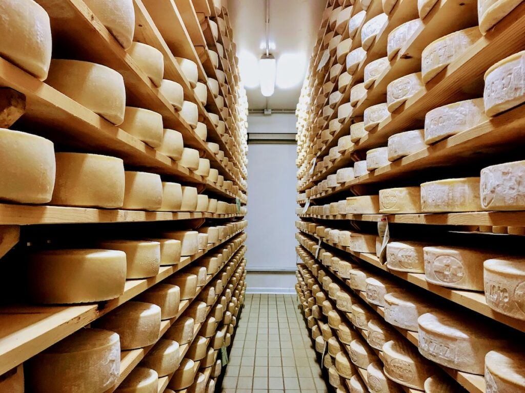 Parmesan cheese wheels stacked in a room.