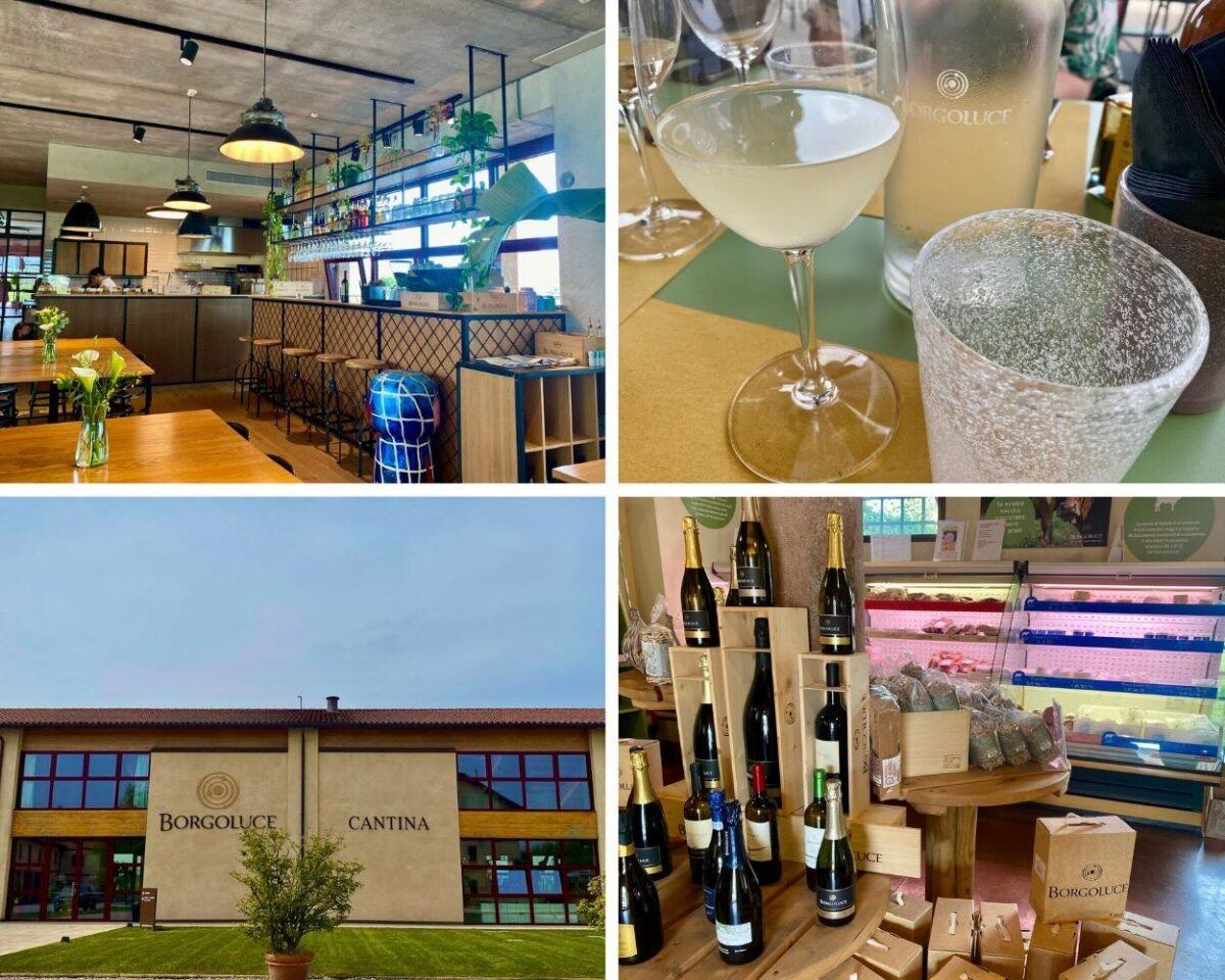 Collage of borgoluce cantina, glass of wine and fam shop.