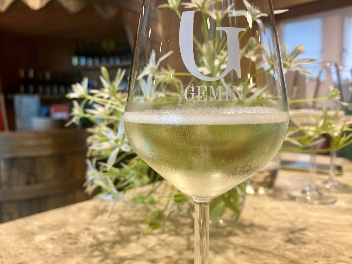 glass of Gemin prosecco with plant in background.