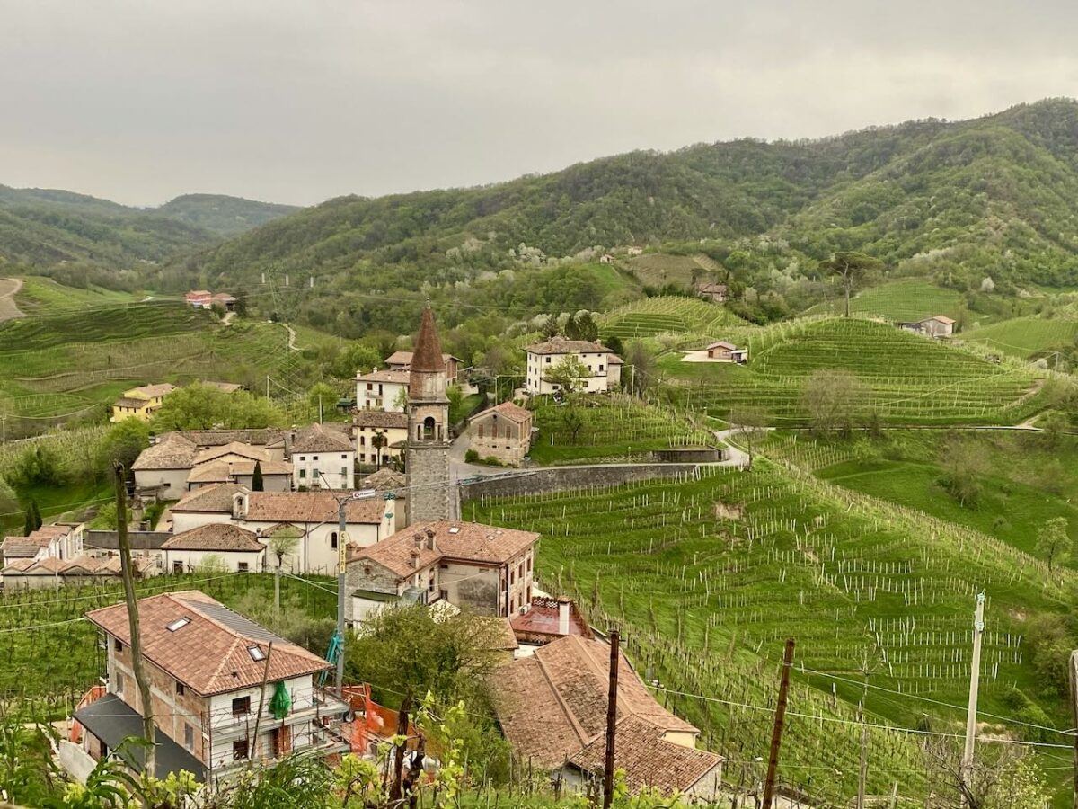 Lochera vineyards near rolle.